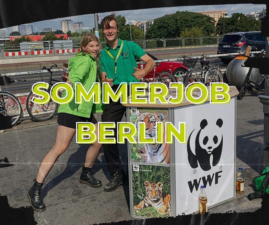 Sommerjob Berlin