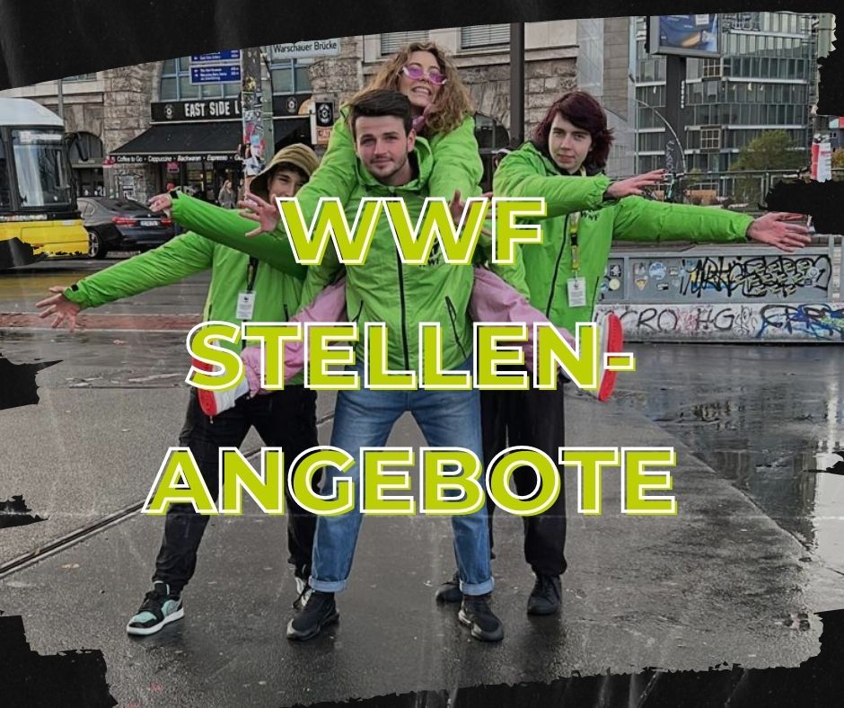 WWF Stellenangebote