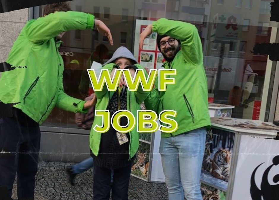 WWF Jobs