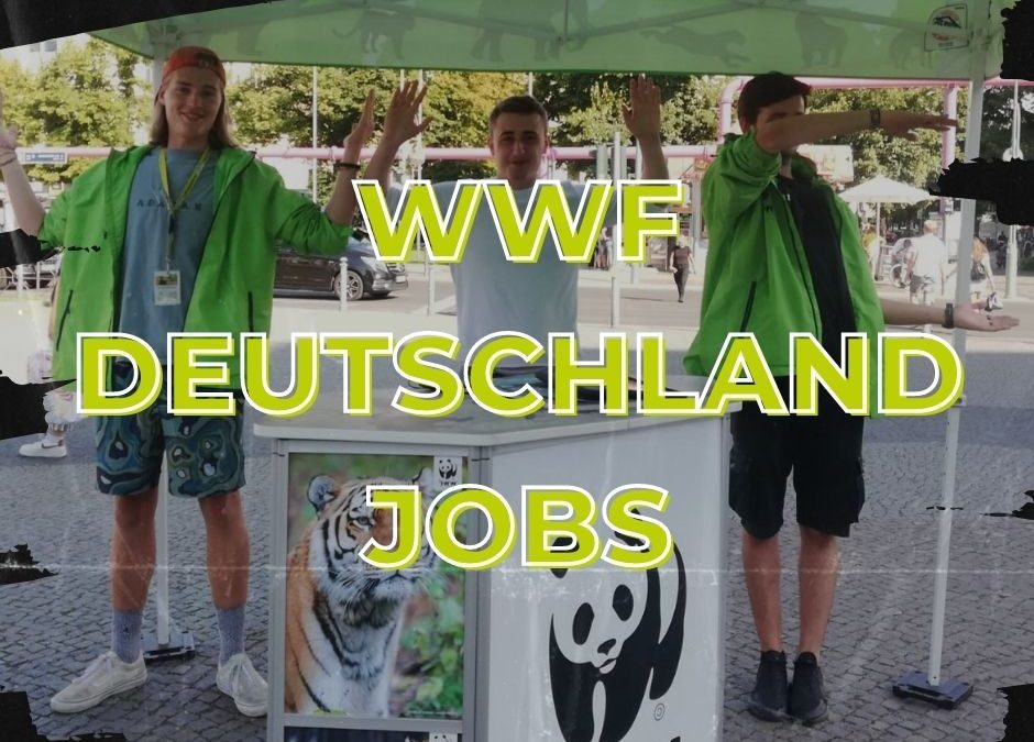 WWF Deutschland Jobs