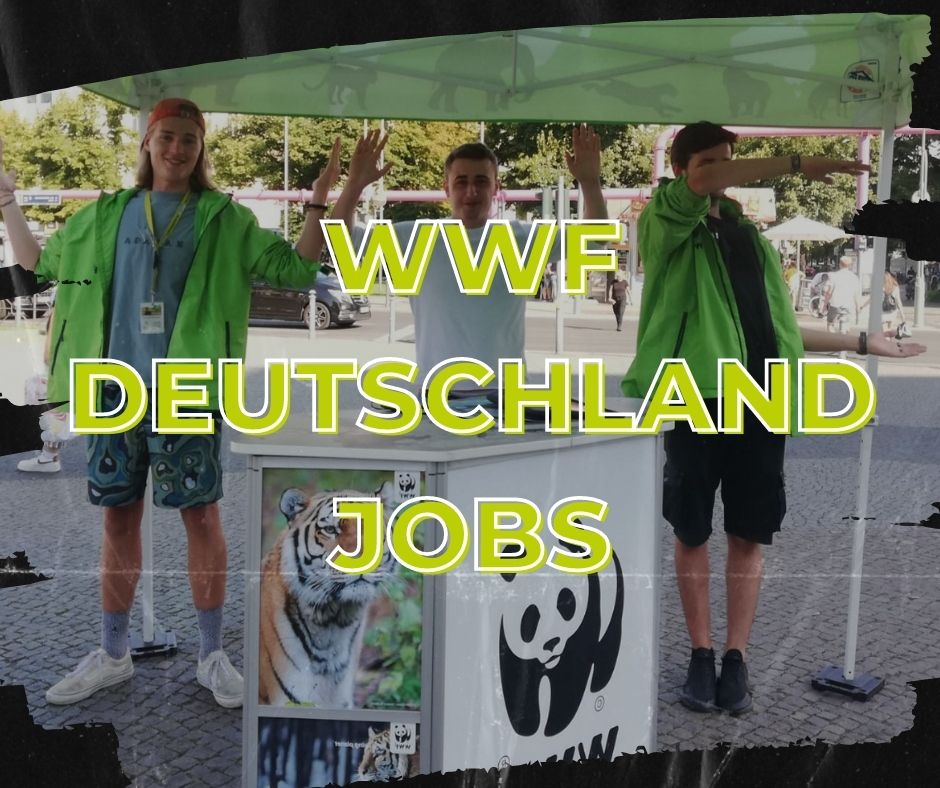 WWF Deutschland Jobs