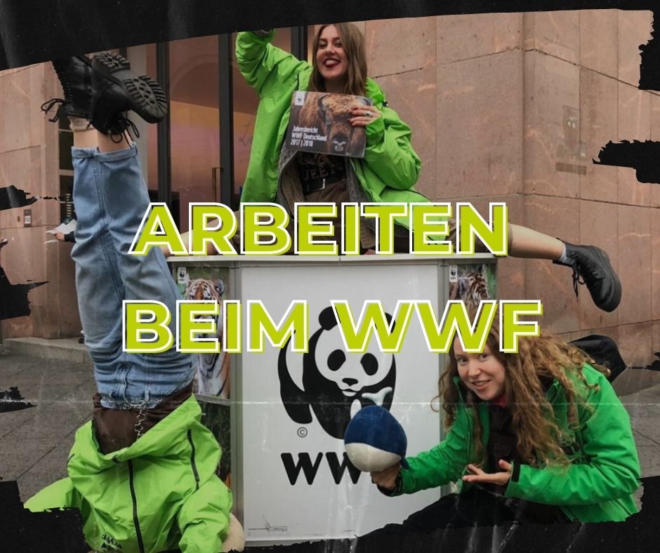 Arbeiten beim WWF