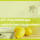 talk2move Blog - DIY-Putzmittel aus natürlichen Hausmitteln selber machen