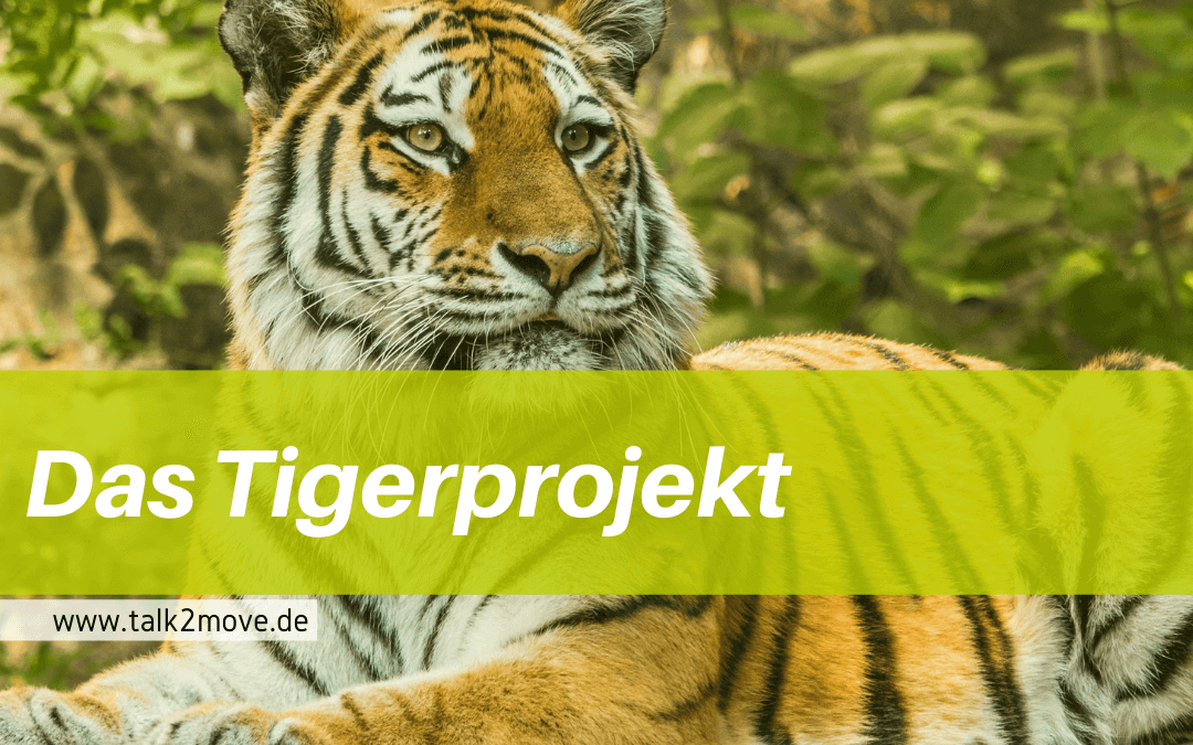 talk2move Blog - das Tigerprojekt WWF