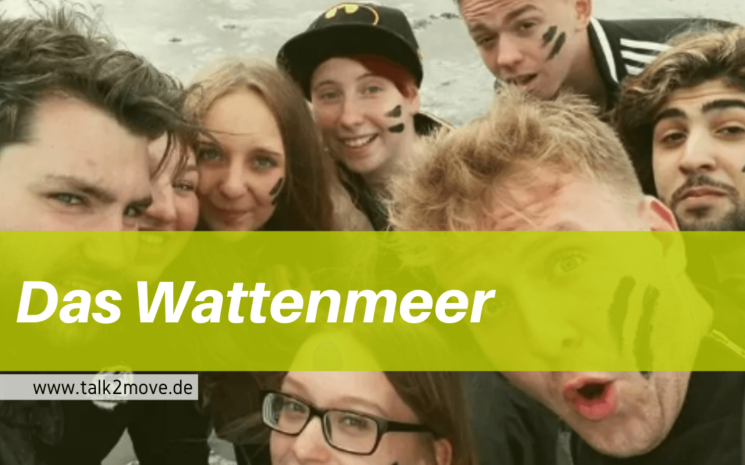 talk2move Blog - Das Wattenmeer - Projekte WWF