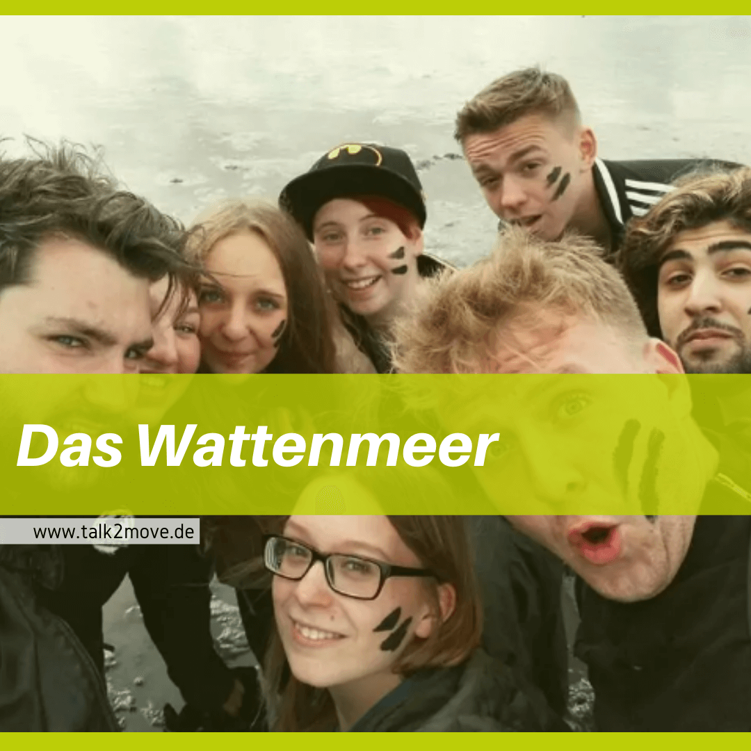 talk2move Blog - Das Wattenmeer - Projekte WWF