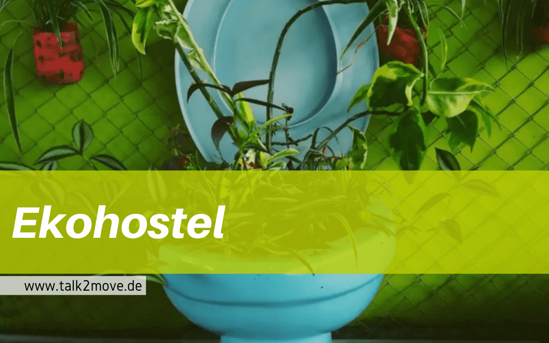 talk2move Blog - Ekohostel, Plastikproblem lösen