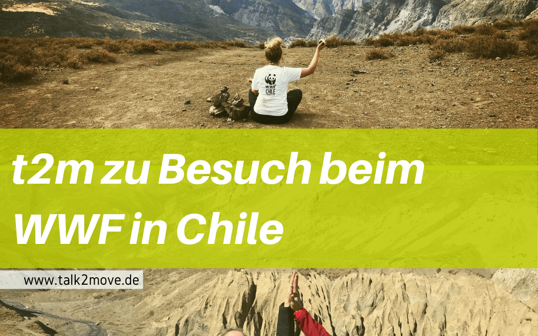 talk2move Blog - t2m zu Besuch beim WWF in Chile 2018