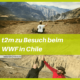 talk2move Blog - t2m zu Besuch beim WWF in Chile 2018
