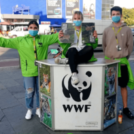 talk2move Städtekampagne Berlin im Einsatz für den WWF