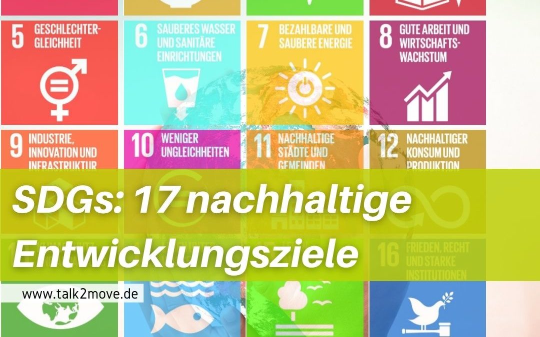 talk2move Blog: SGDs - 17 nachhaltige Entwicklugsziele