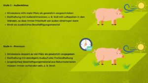 Schwein - Haltungsformen 3 und 4