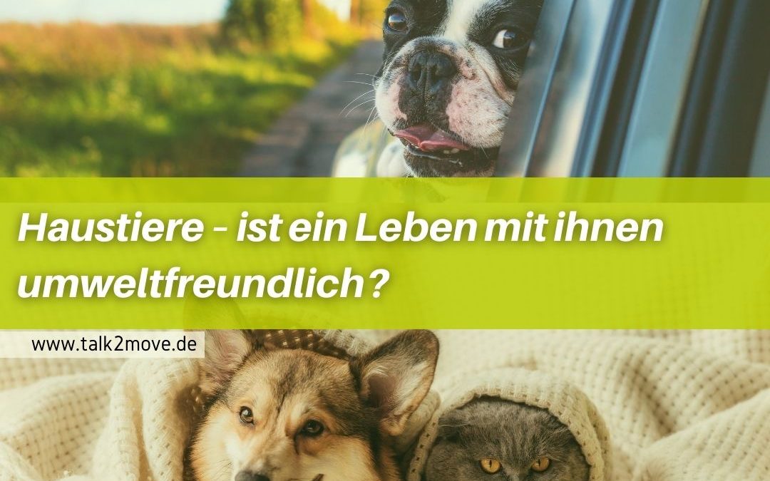 Haustiere – ist ein Leben mit ihnen umweltfreundlich?