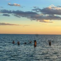 Mehrere Fundraiser spielen im Meer mit einem Ball