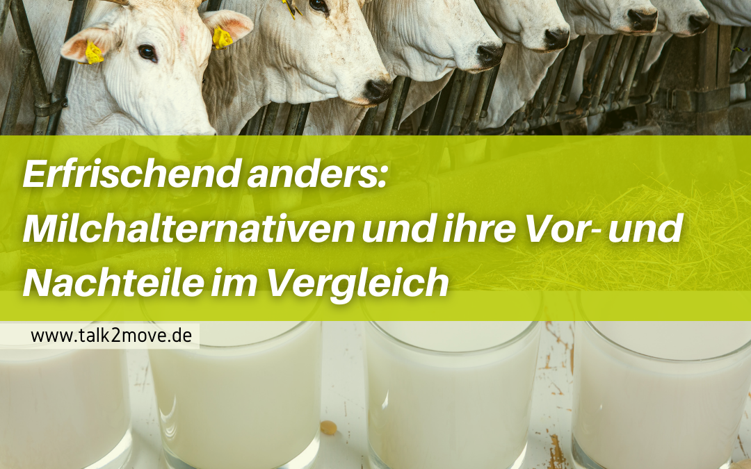 Erfrischend anders: Milchalternativen und ihre Vor- und Nachteile im Vergleich