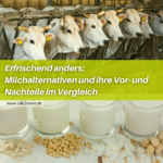 Erfrischend anders: Milchalternativen und ihre Vor- und Nachteile im Vergleich