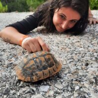 Eine junge Frau liegt mit dem Bauch auf einem Weg und streichelt eine kleine Schildkröte.