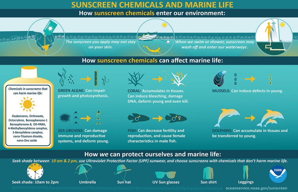 NOAA, Infographic: Sunscreen Chemicals and Marine Life