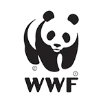 funnel_wwf